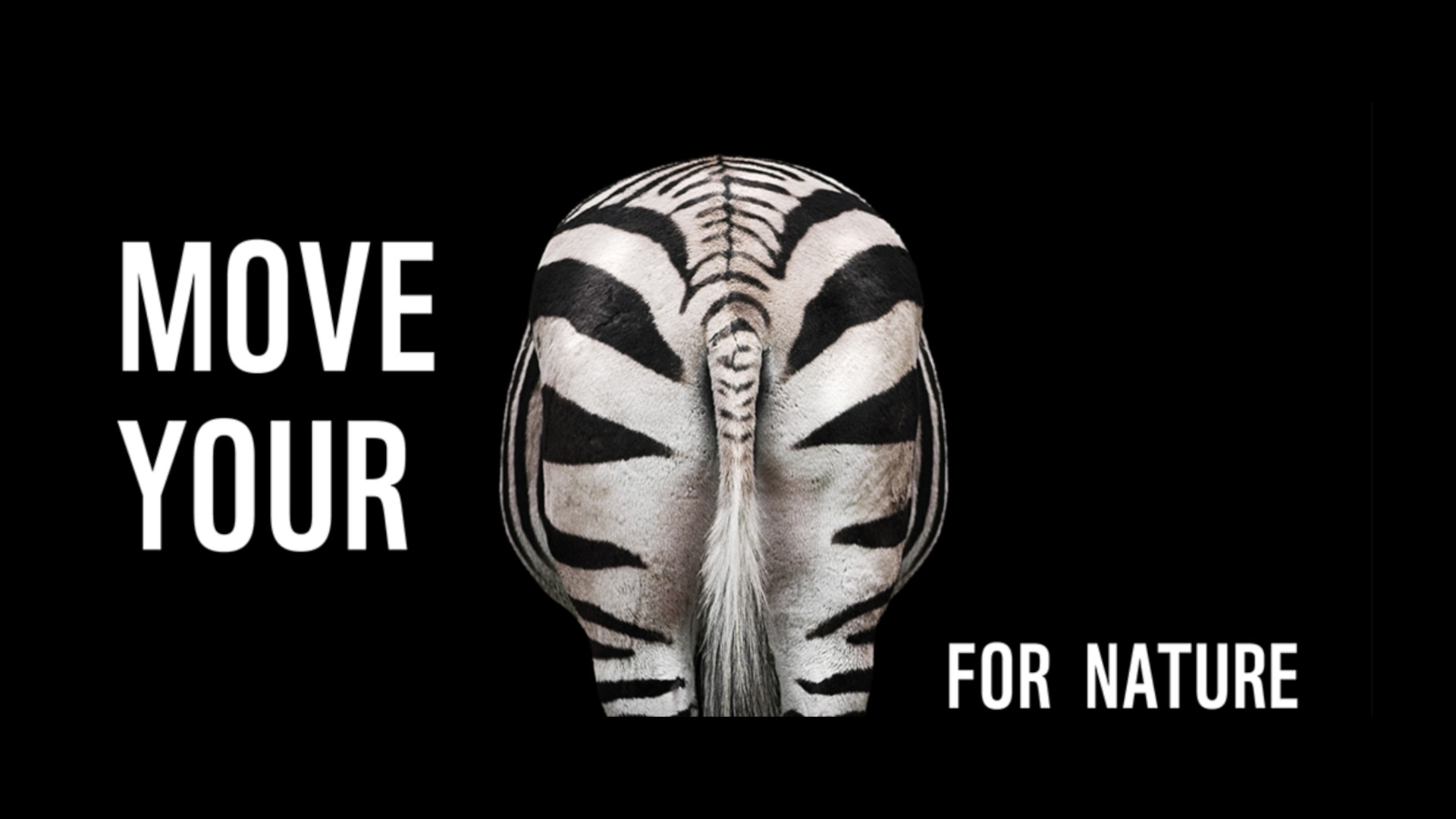 Pandanation: Move your Zebra