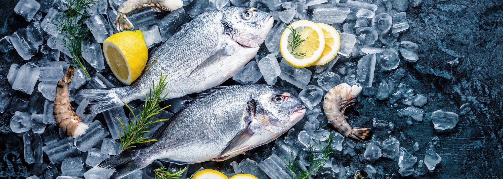 Fischratgeber FAQ