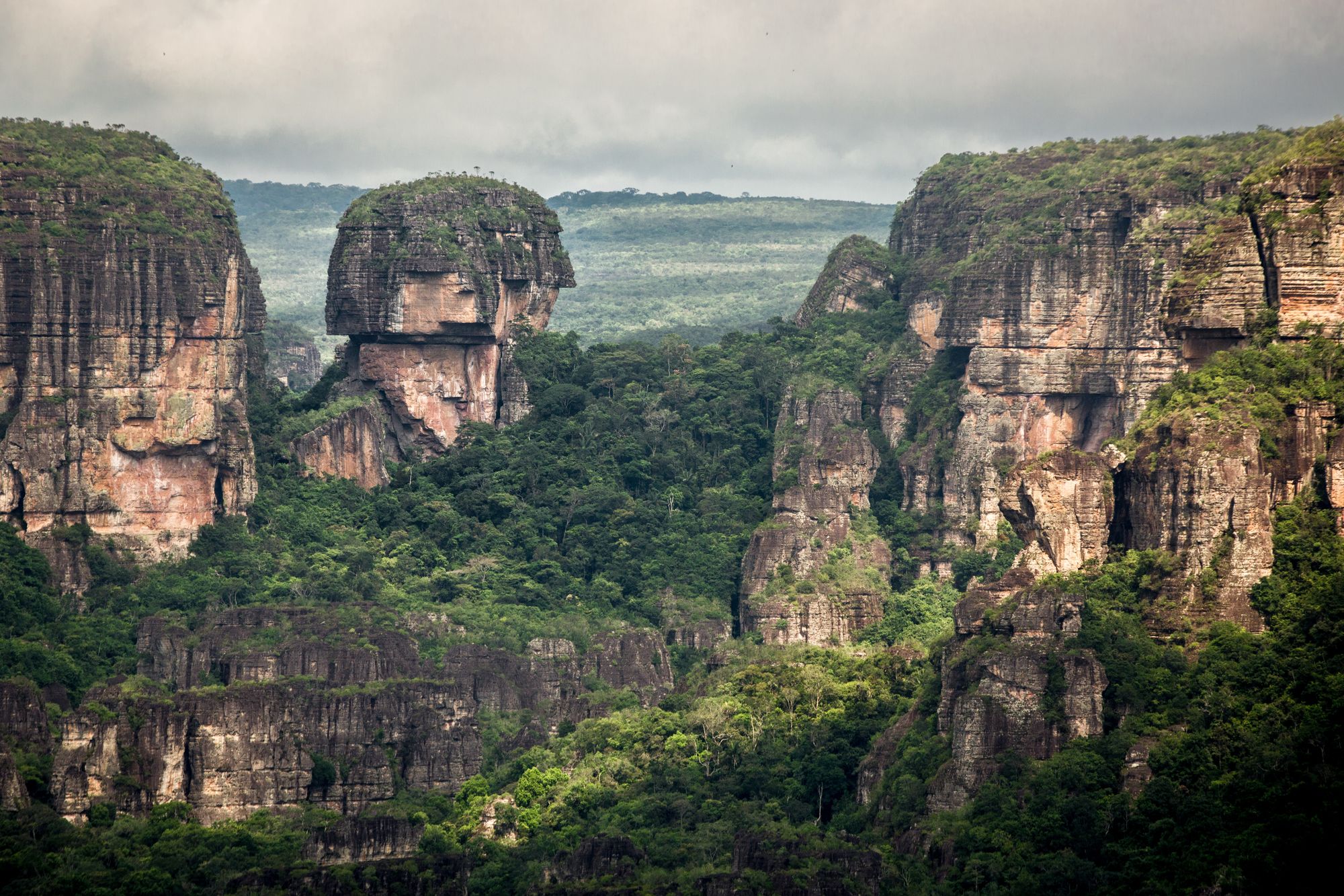 Tepui im Chiribiquete Nationalpark, Amazonas, Kolumbien