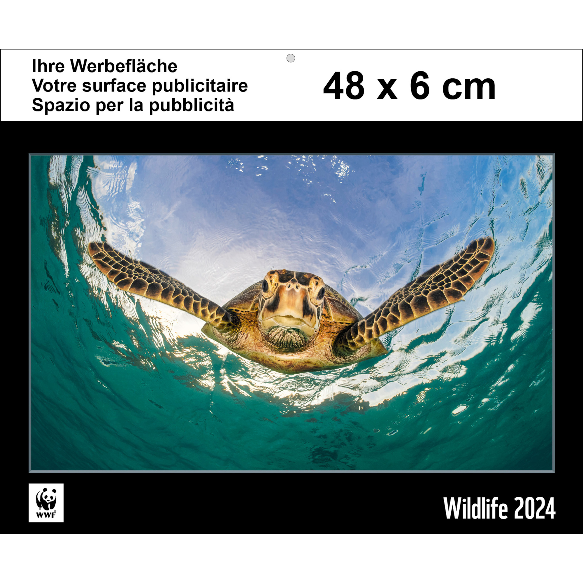 WWF Wildlife Kalender WWF Schweiz
