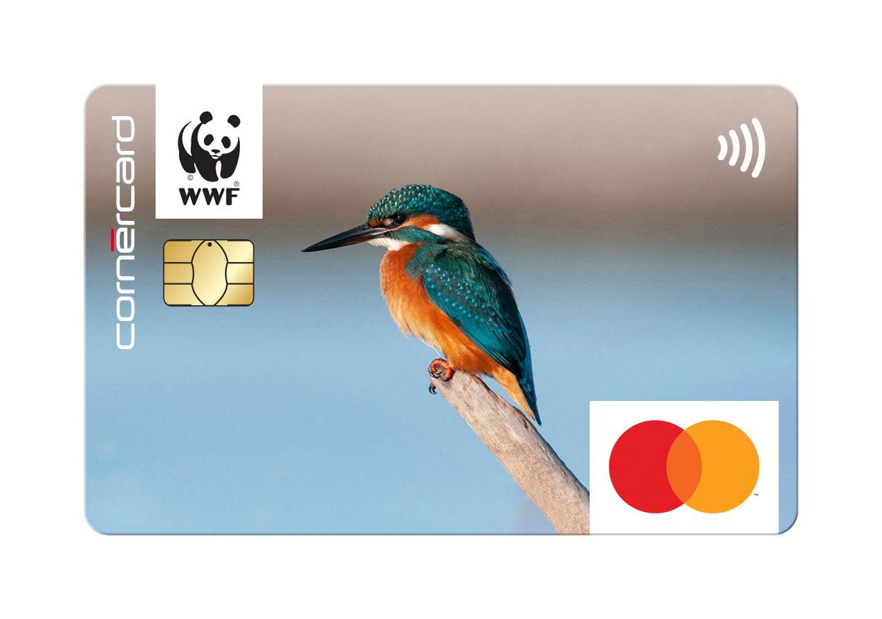 WWF Cornercard mit dem Motiv Eisvogel
