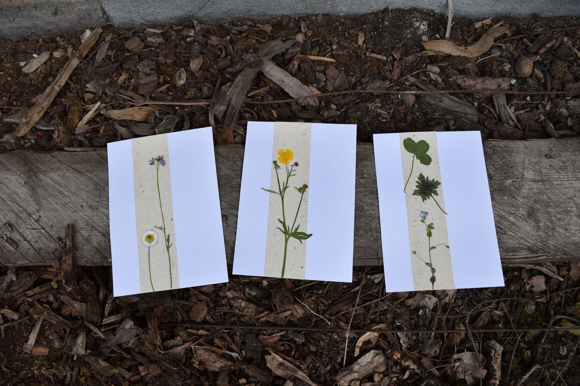 Blumige Grusskarten mit Sand