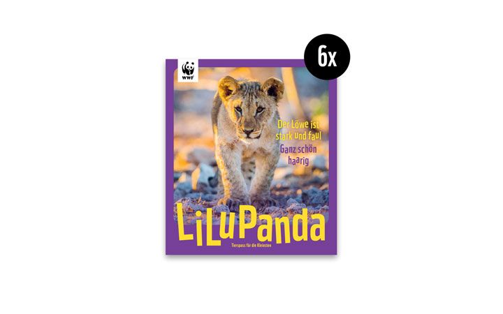 Vorschau LiluPanda 2023