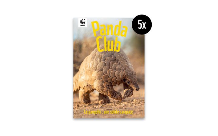 Vorschau PandaClub 2023