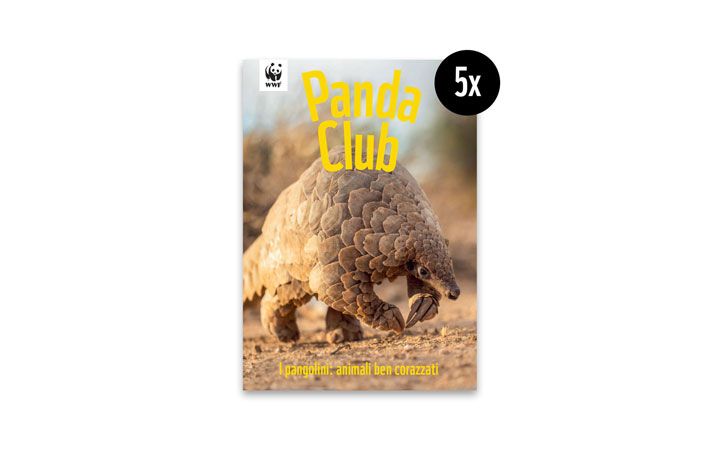 Vorschau PandaClub 2023