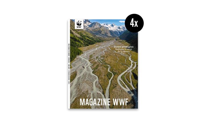 Vorschau Magazin 2023