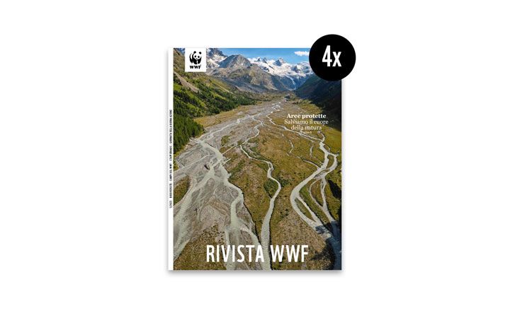 Vorschau Magazin 2023