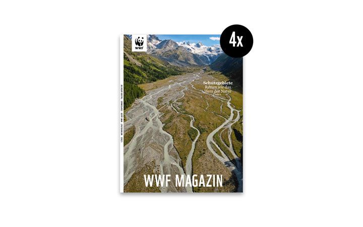 Vorschau Magazin 2023