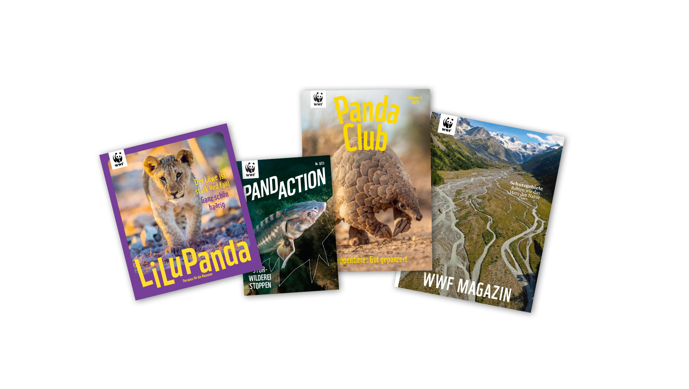 Preview Magazinfächer