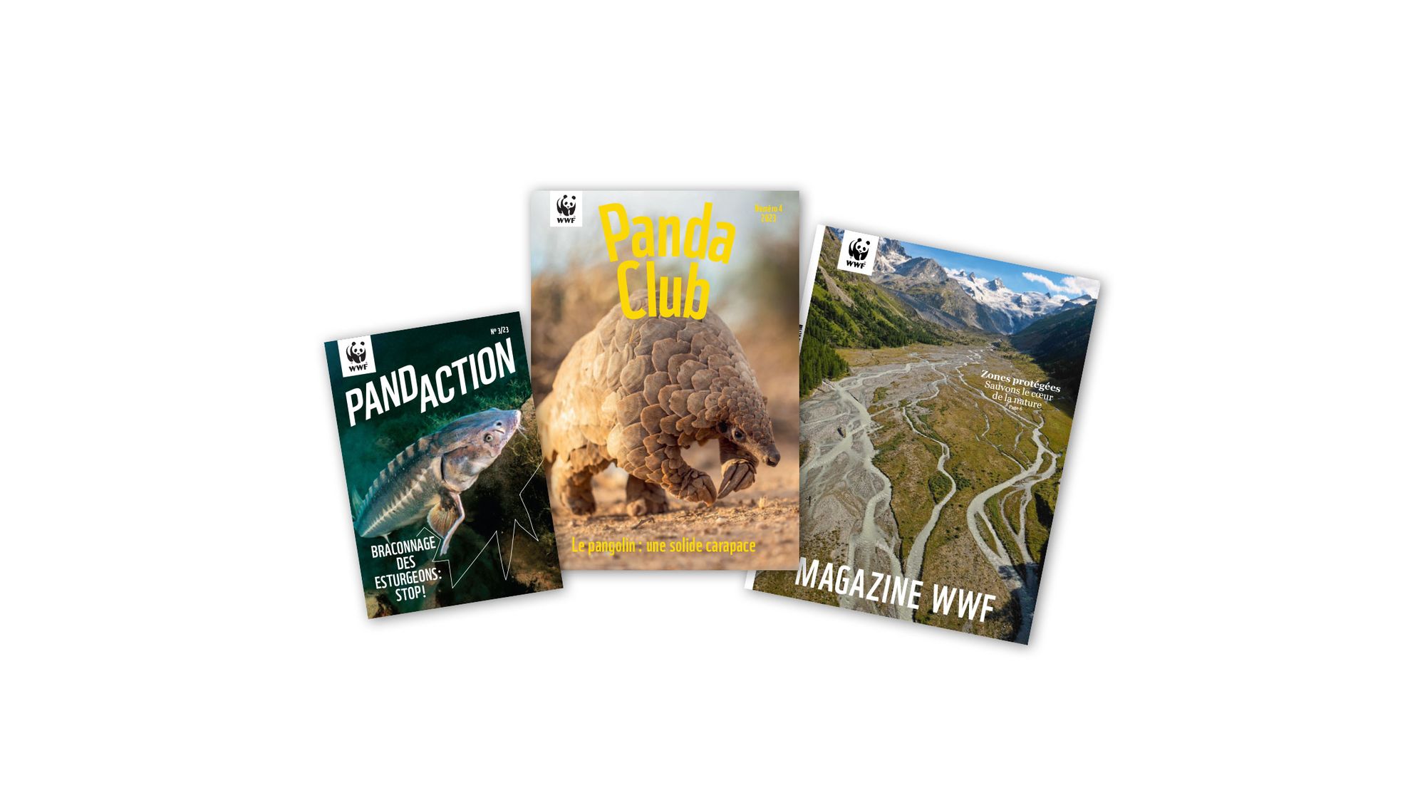 Preview Magazinfächer 2023