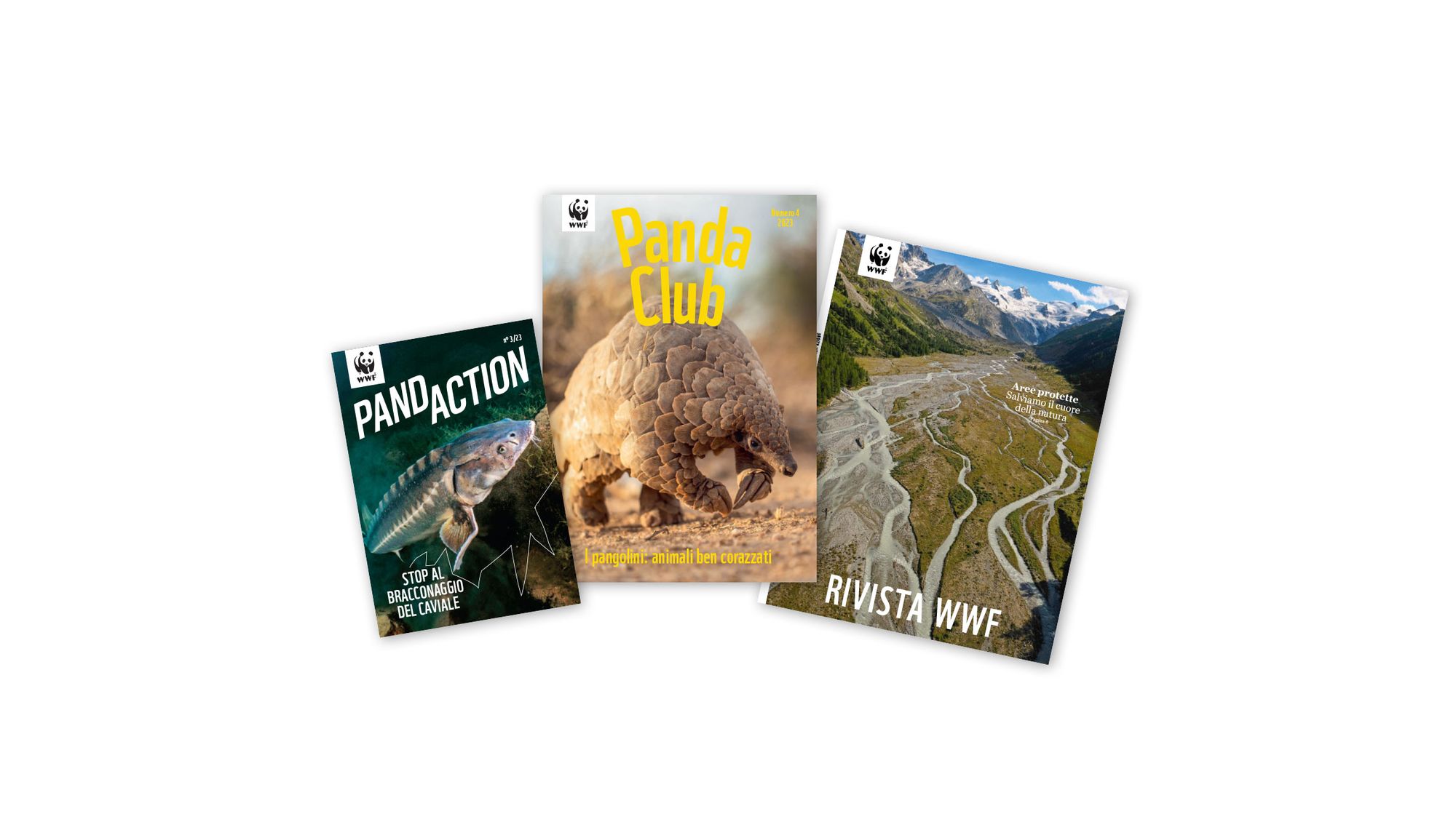 Preview Magazinfächer 2023