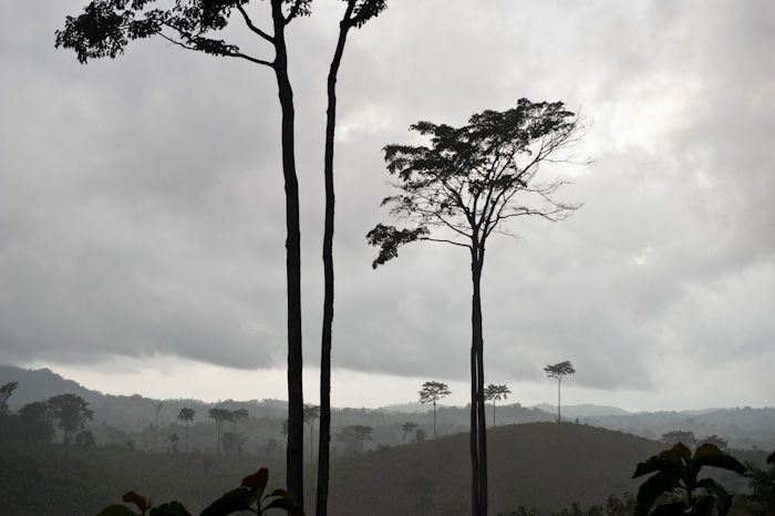 Abgeholzte Wälder von Ost-Usambara, Tansania