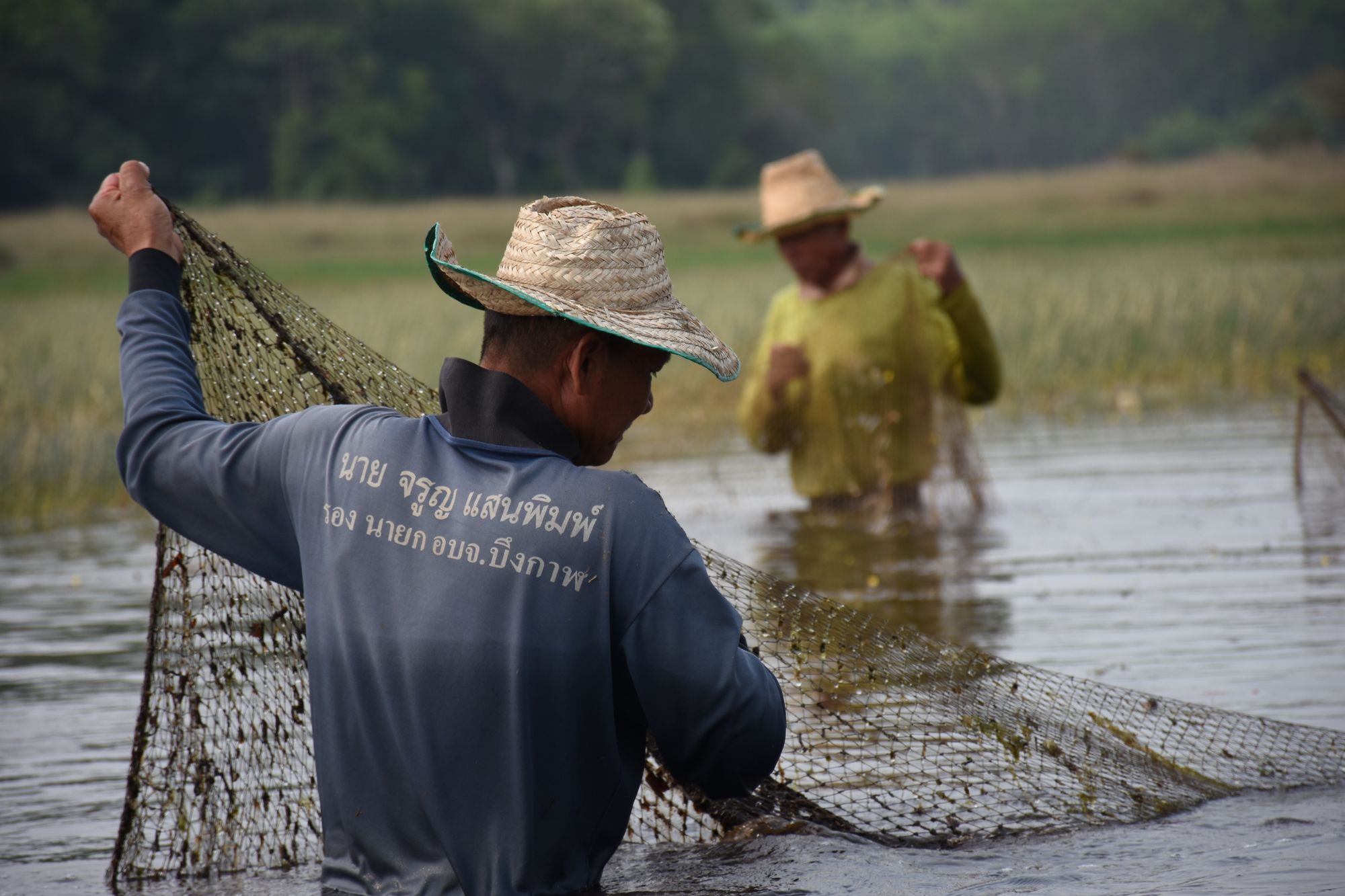 Fischer fischen in der Nähe einer Fischschutzzone (No-Take-Zone) in Bueng Khong Long.