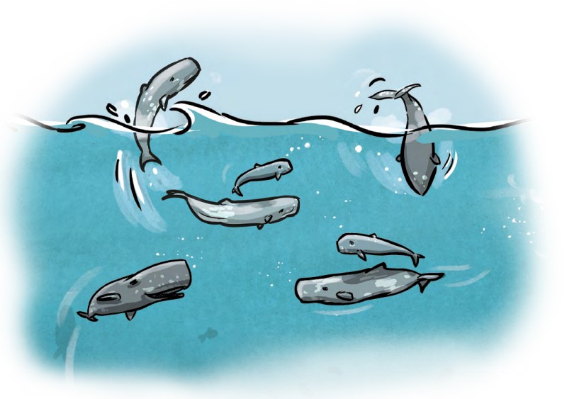 Illustraion von schwimmenden Walen