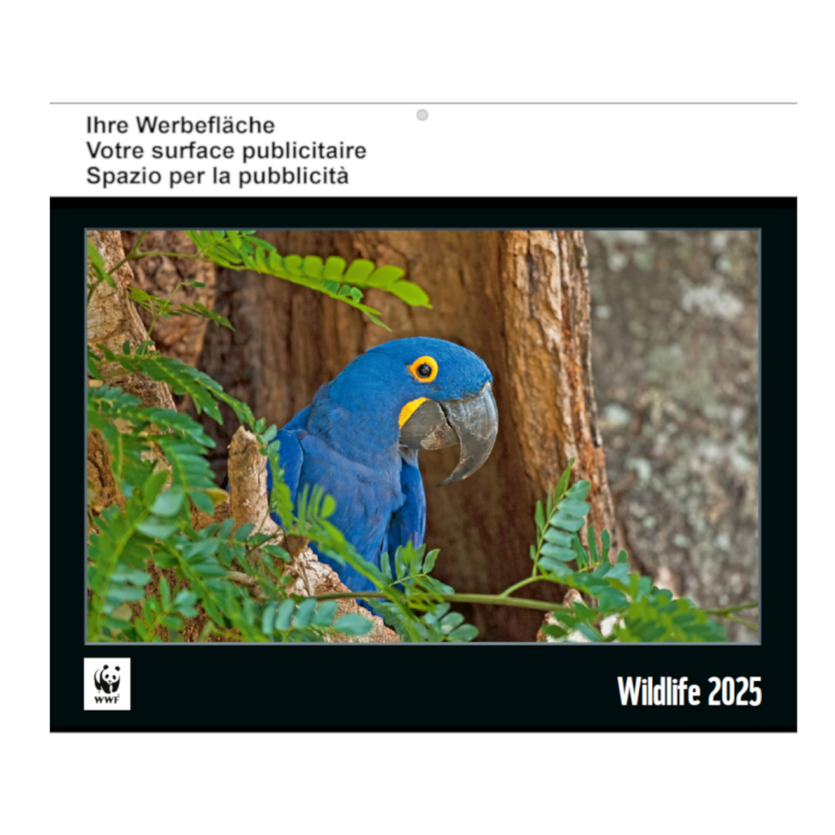 WWF Wildlife Kalender  WWF Schweiz