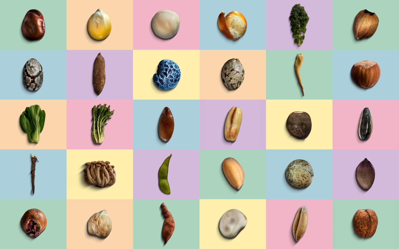 Alle 30 Future Foods auf farbigem Hintergrund