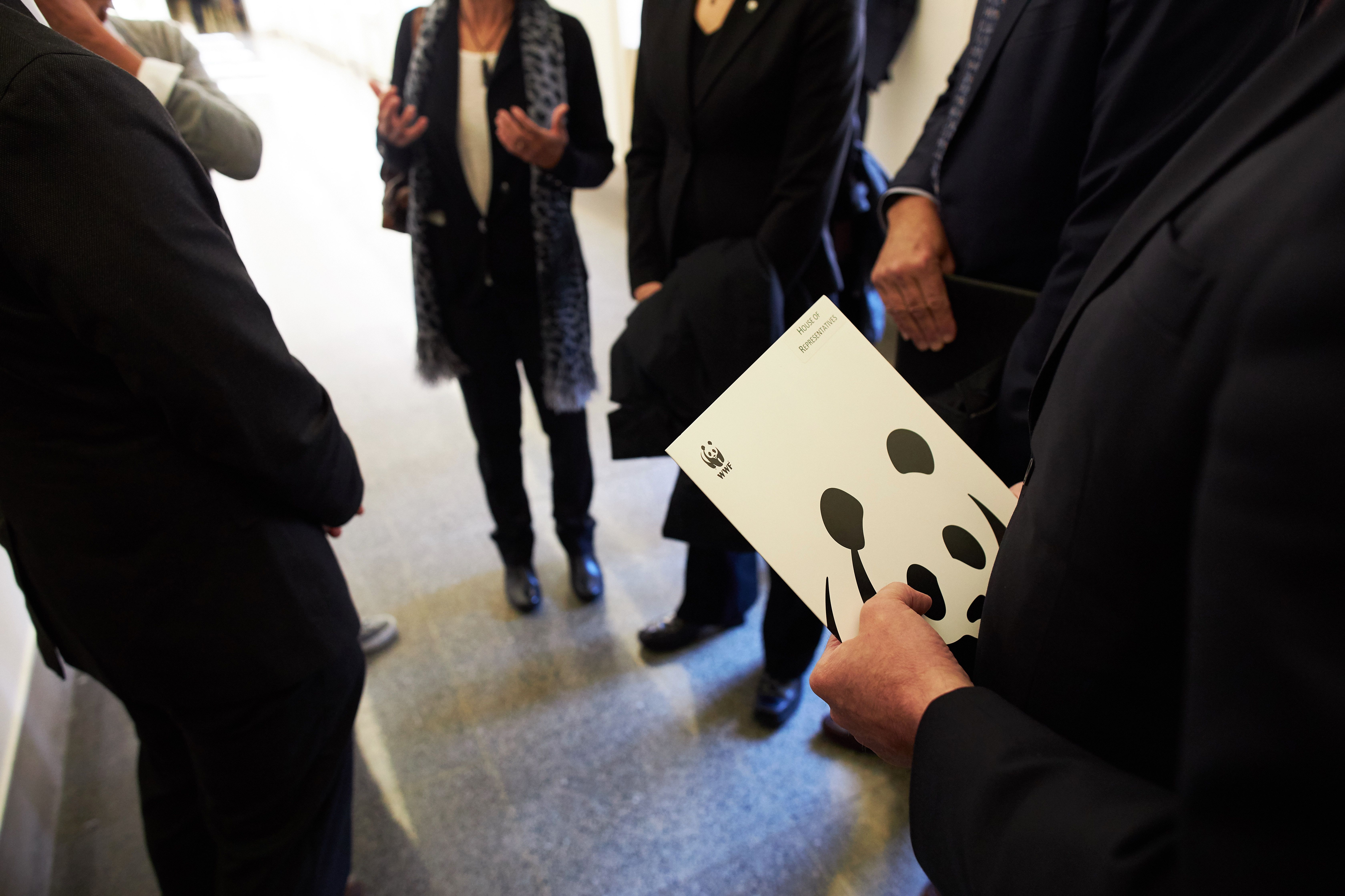 WWF Lobby Tag in Washington