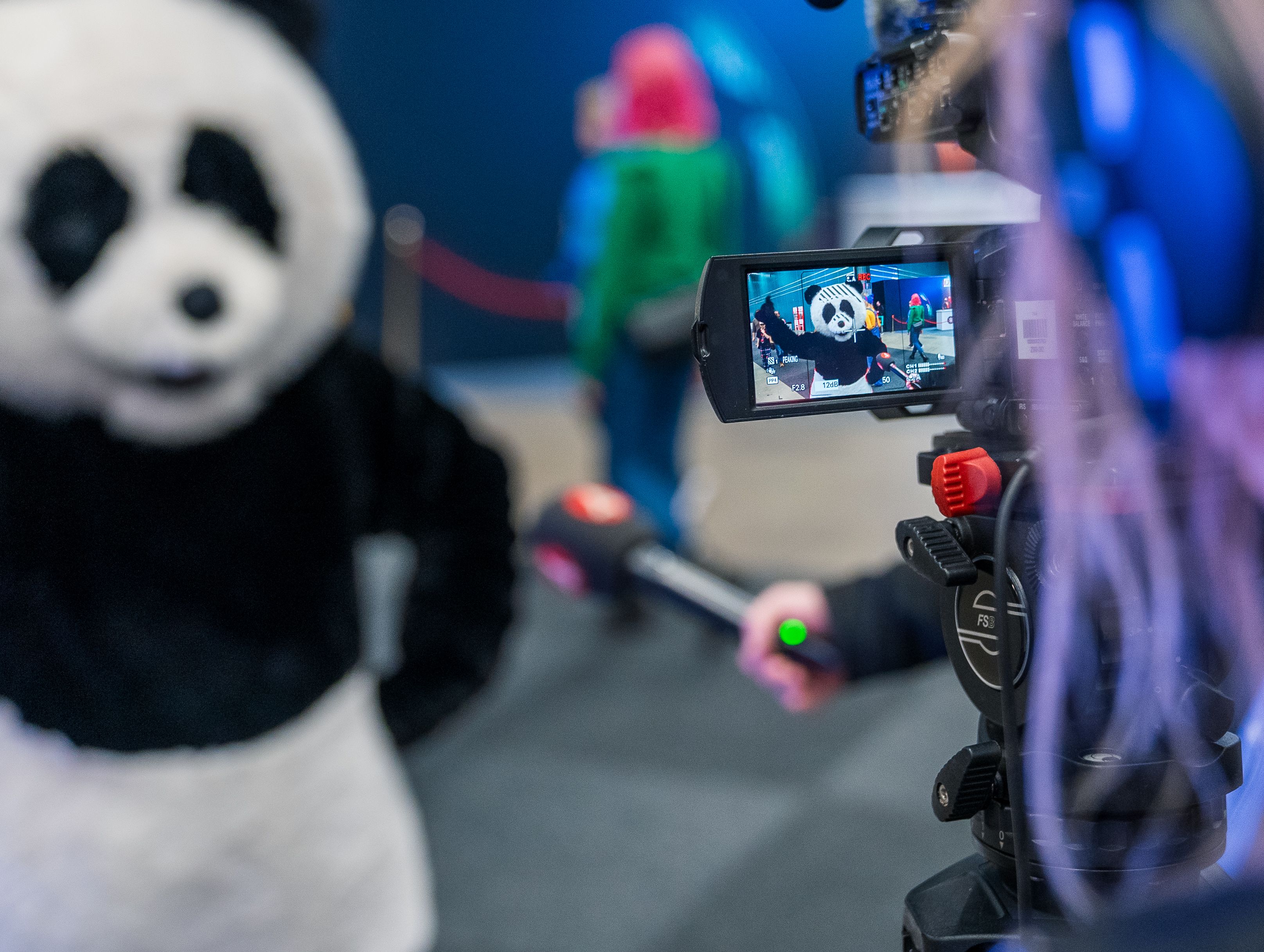 WWF Panda gibt ein Interview