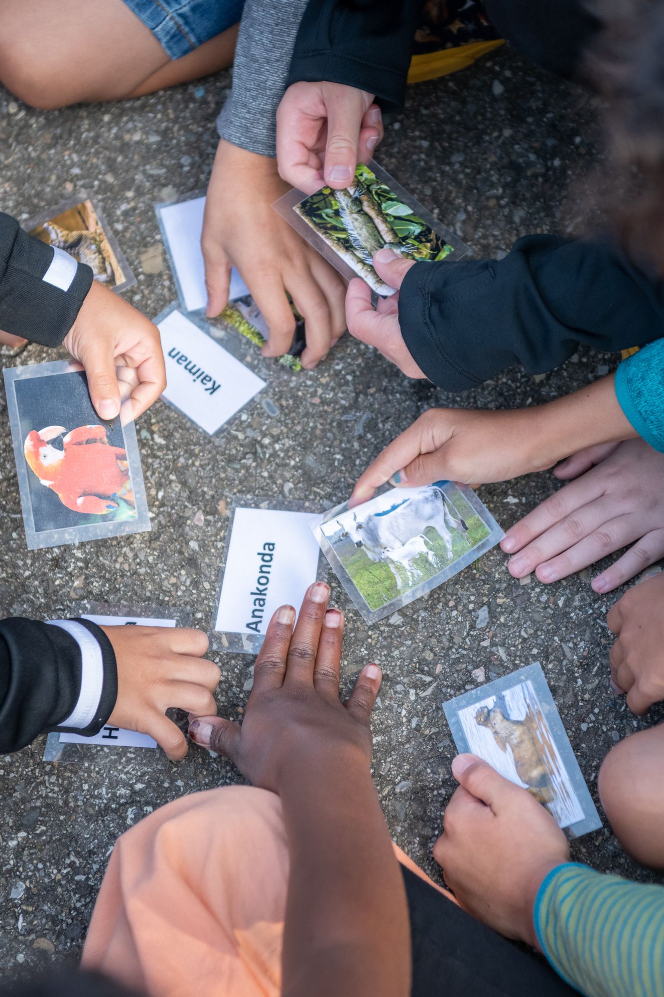 Schulbesuch mit Unterrichtsmaterialien