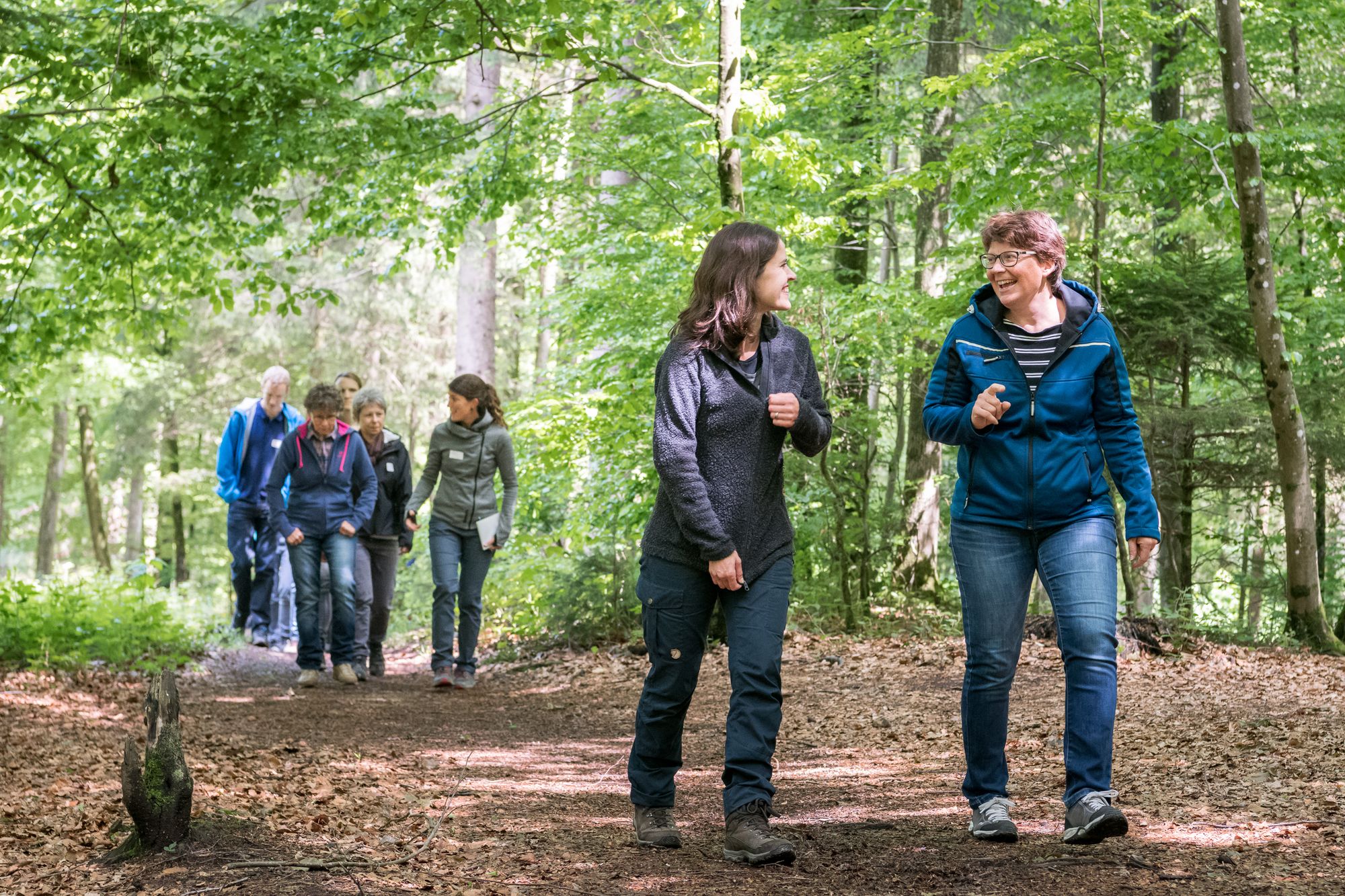 Lehrpersonen beim WWF Workshop