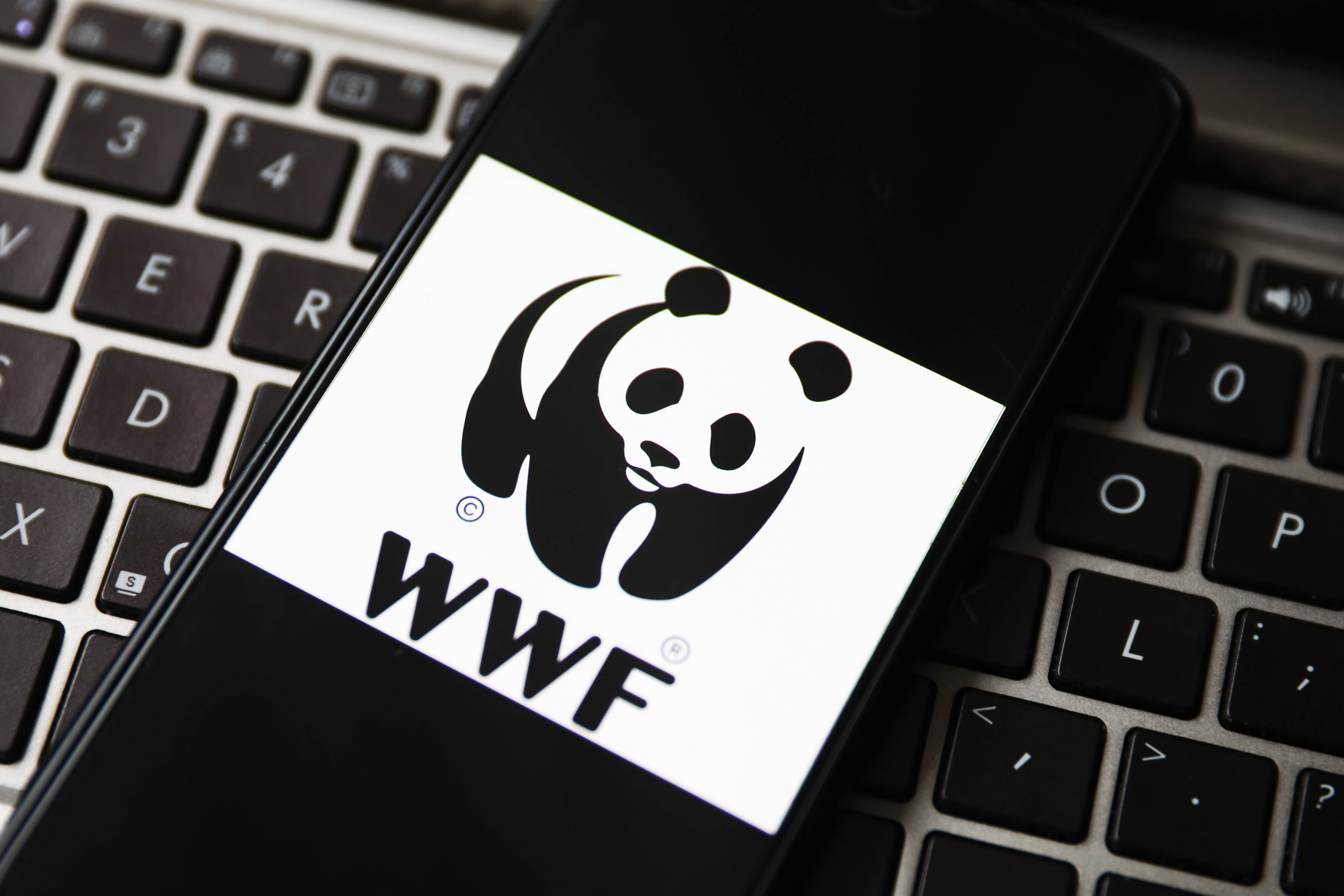 WWF Logo auf einem Mobiltelefon-Bildschirm