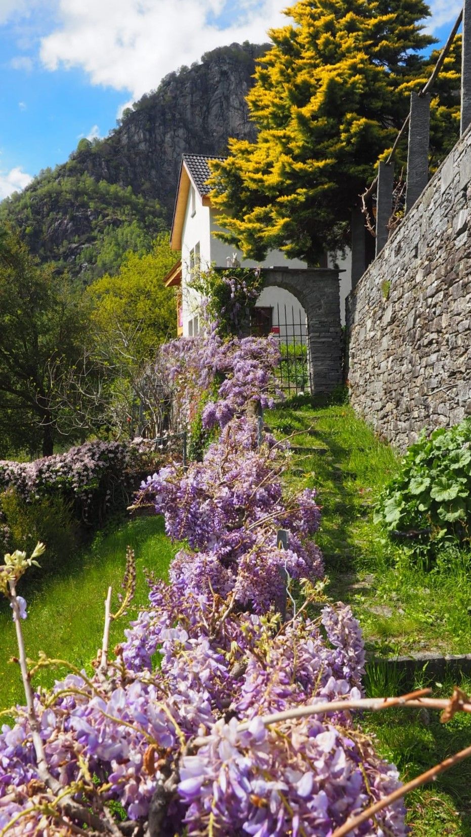 Das Haus des Ehepaars Petracca