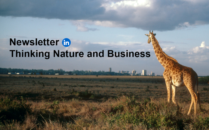 Newsletter Thinking Nature and Business Linkedin
