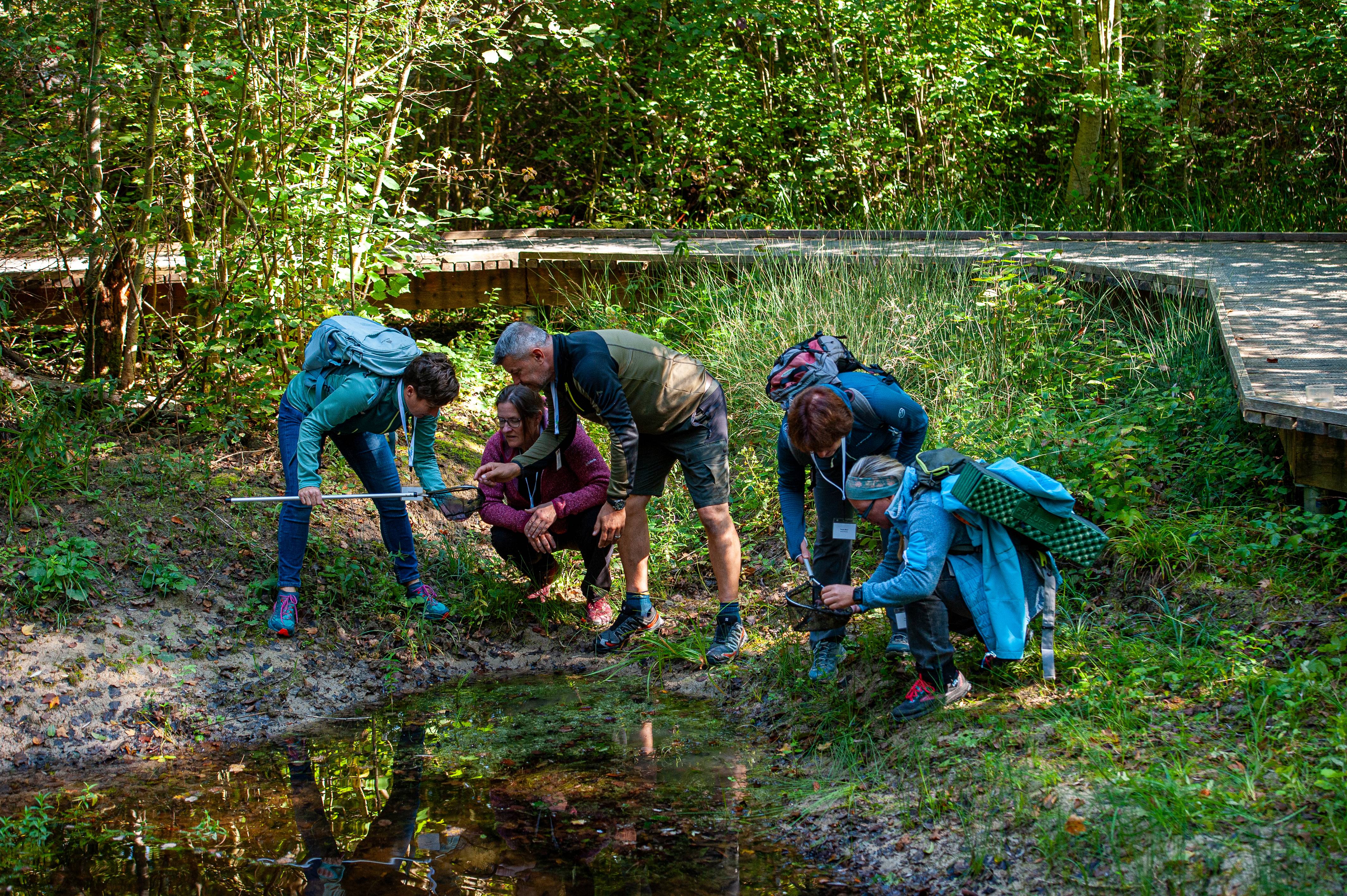 Lehrer beim Lehrerworkshop