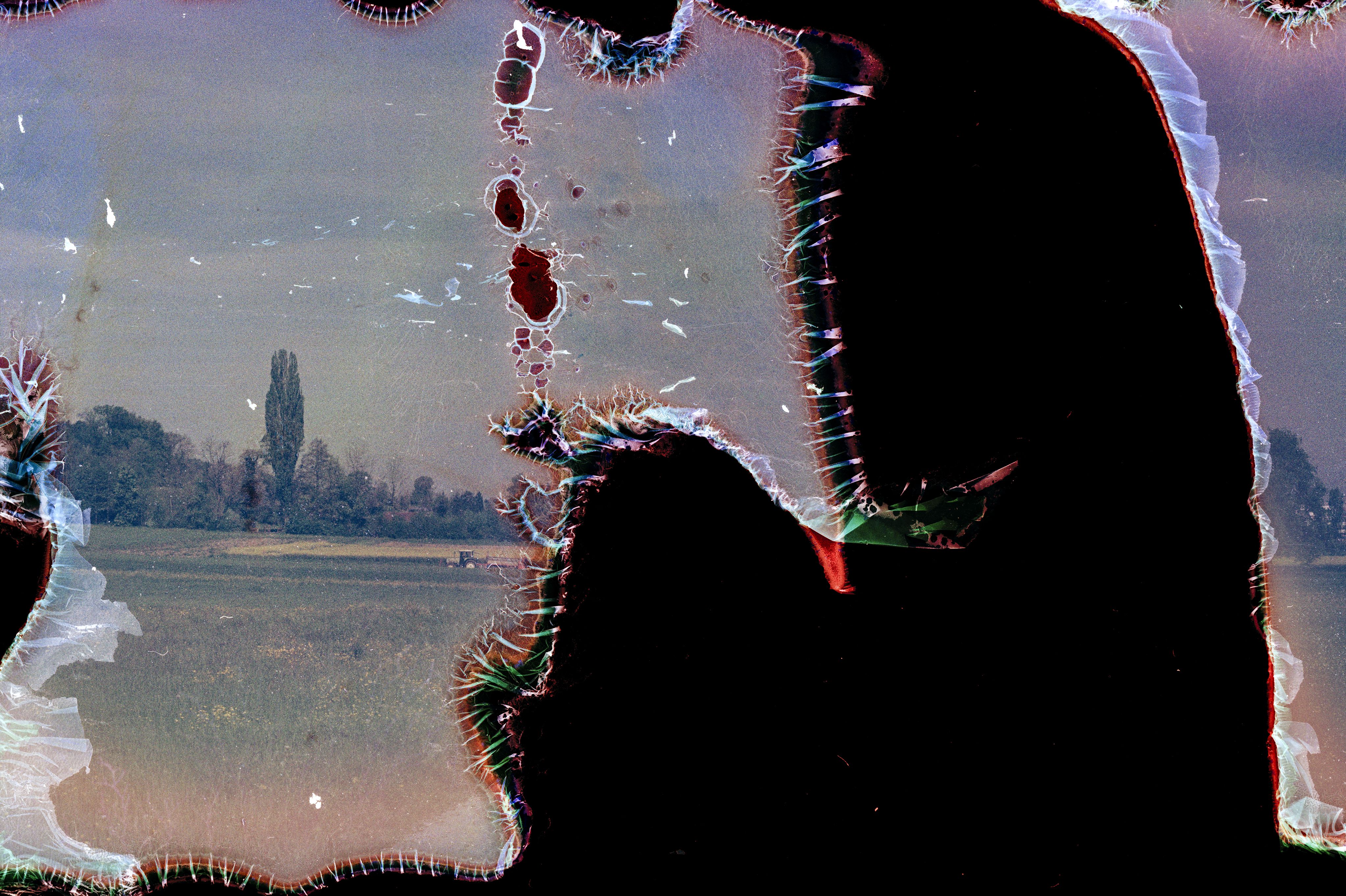 Fotoserie Nährstoffkonzentration