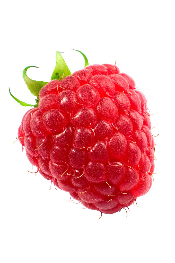 WWF Einkaufsratgeber: Hat Himbeeren gerade Saison?