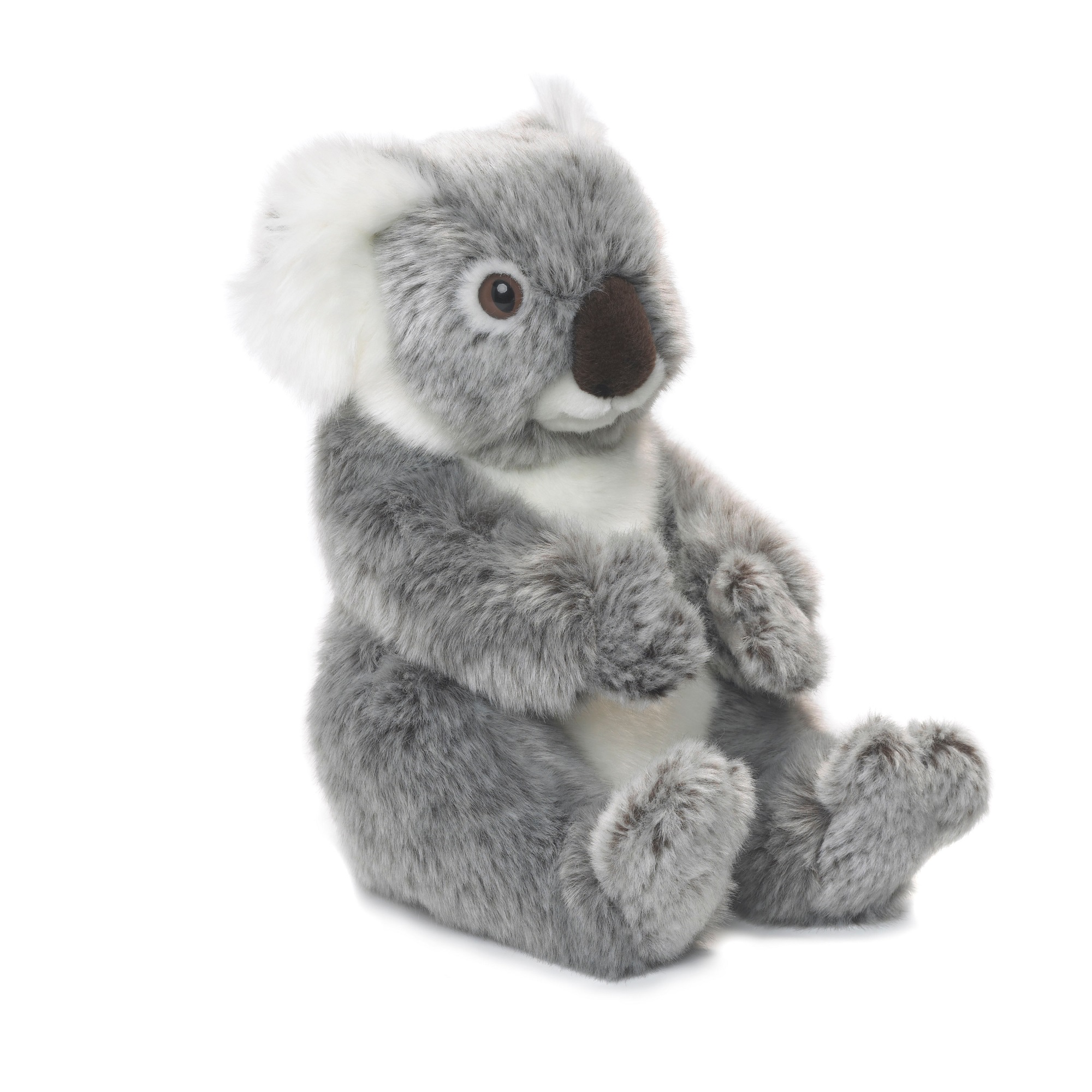 Koala en peluche WWF, 22 cm