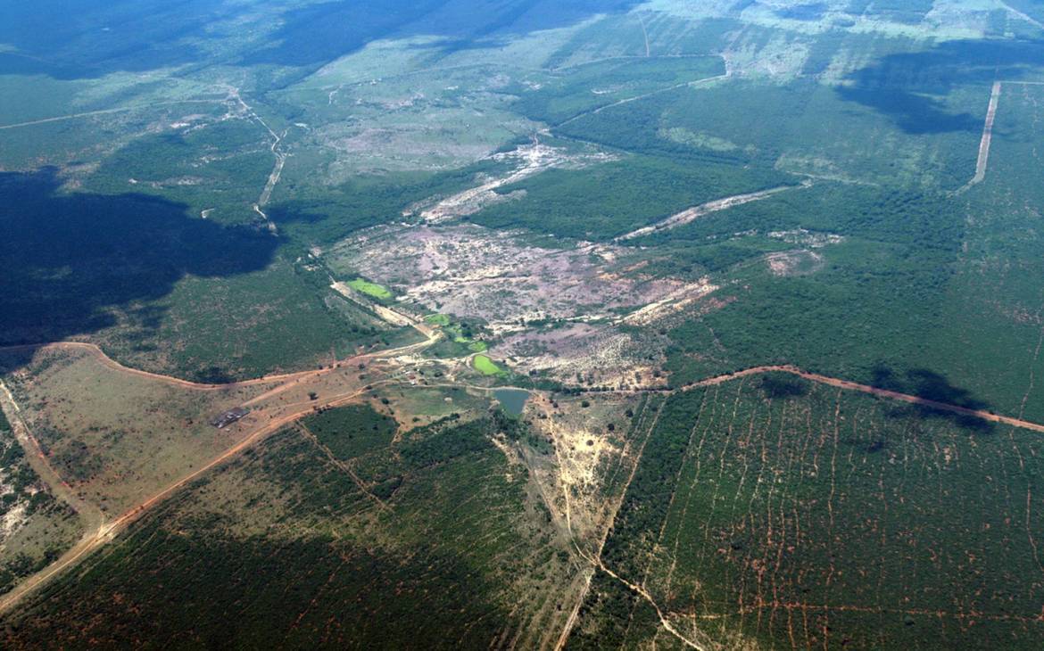 Zerstörung im Pantanal Bolivien