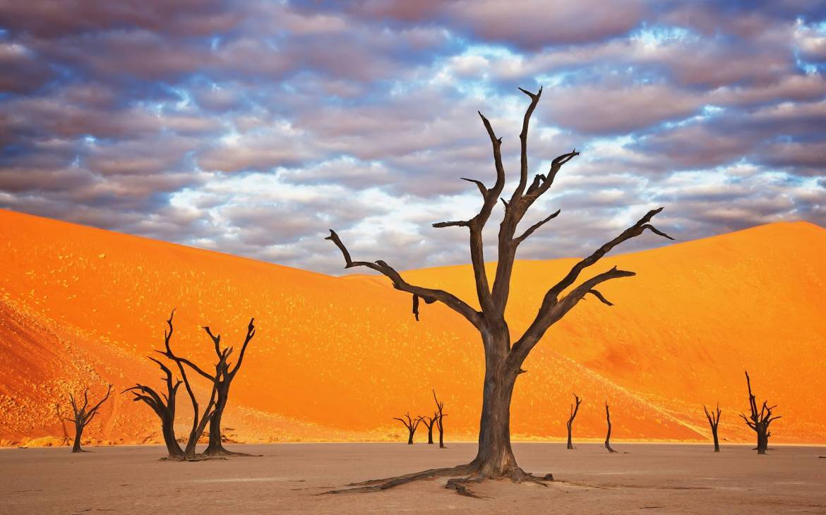 Abgestorbene Akazien in der Namib-Wüste