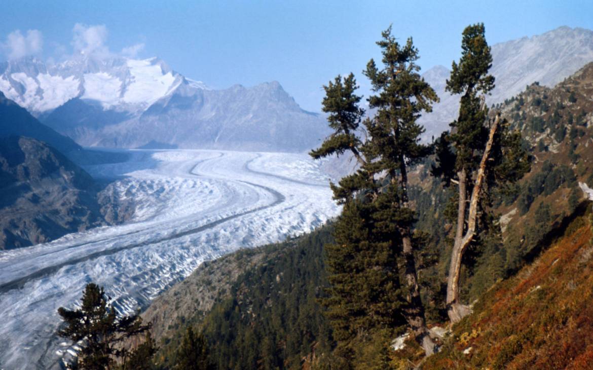 Il ghiacciaio dell'Aletsch in Svizzera