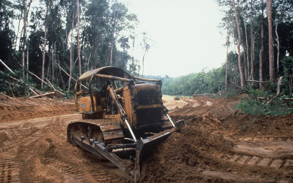 Strassenbau im Tropenwald des Kongo