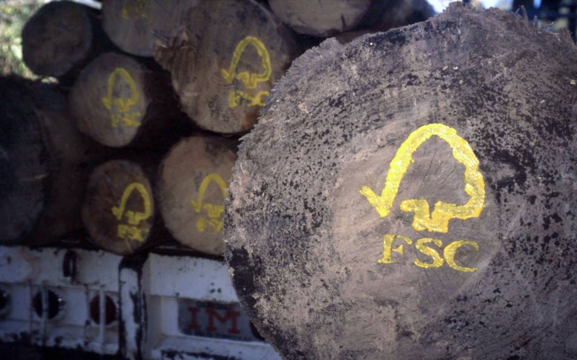 Baumstämme mit FSC Stempel