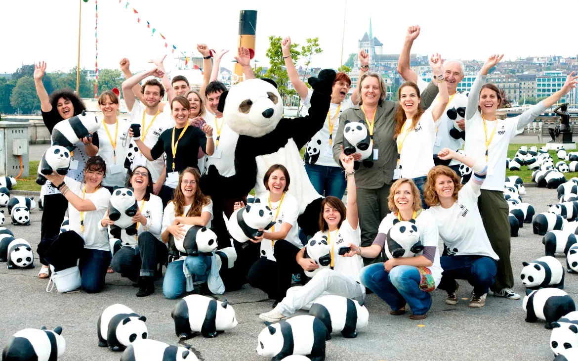 Zu seinem 50-jährigen Jubiläum stellt der WWF Schweiz 1600 Pandas aus Pappmaché aus.