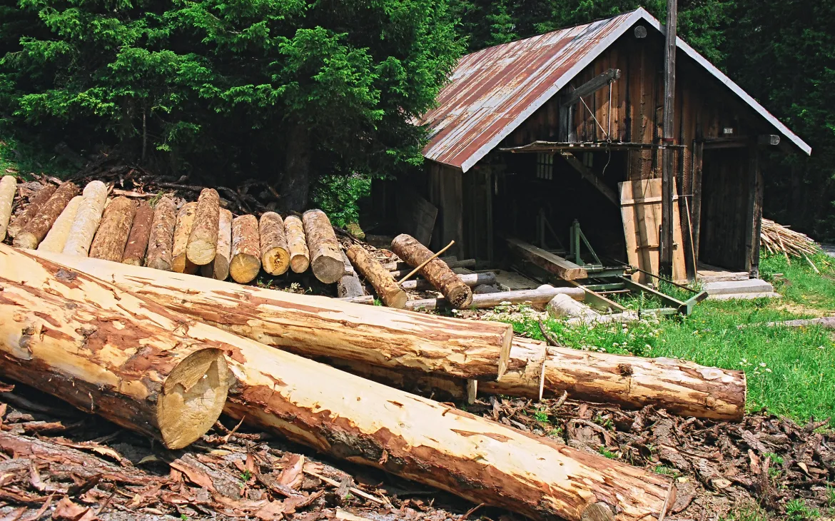 Nachhaltige Waldwirtschaft nach FSC-Kriterien im Safiental, Schweiz