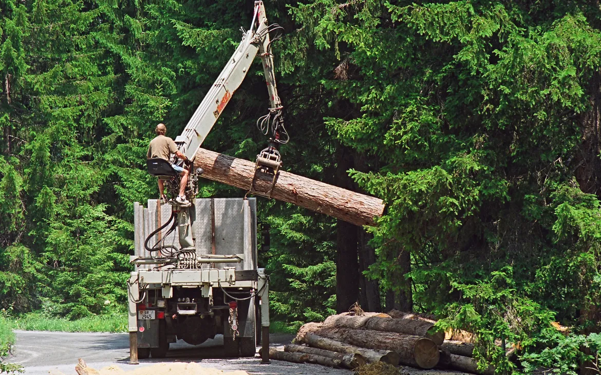 Nachhaltige Waldwirtschaft nach FSC-Kriterien im Safiental, Schweiz
