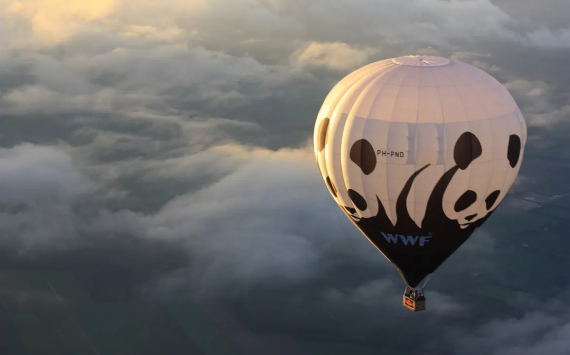 WWF Ballon in der Luft