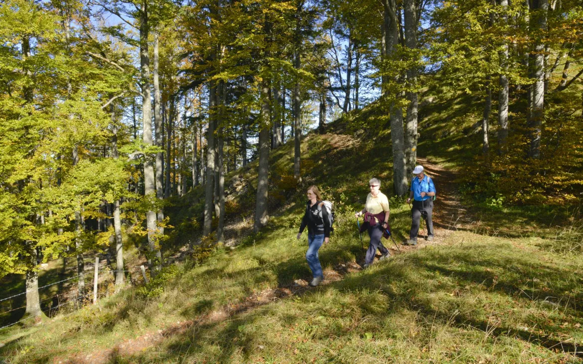 Randonneurs à Vogelsberg dans le Jura, Suisse