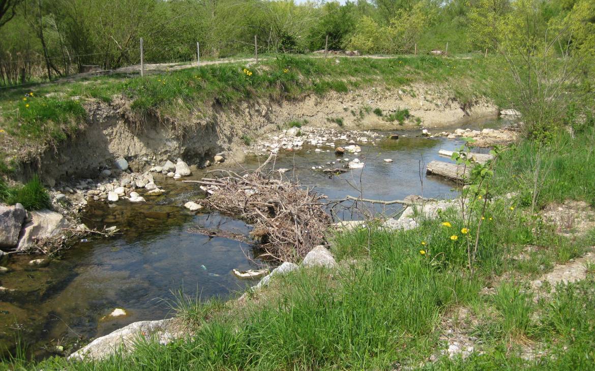 La rivière Bünz dans le canton d'Argovie après la revitalisation