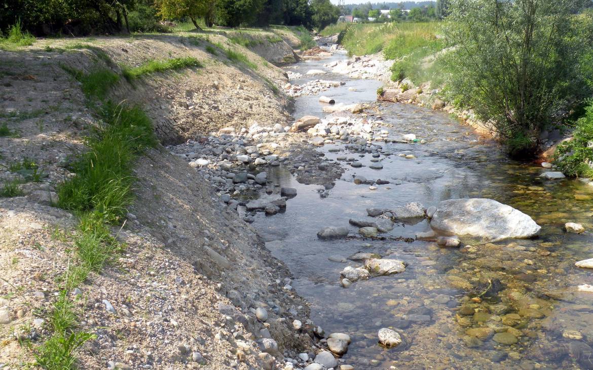 Der Fluss Bünz im Kanton Aargau nach der Revitalisierung
