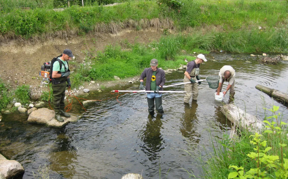 Les Riverwatchern les divers poissons sont expliqués lors de la formation
