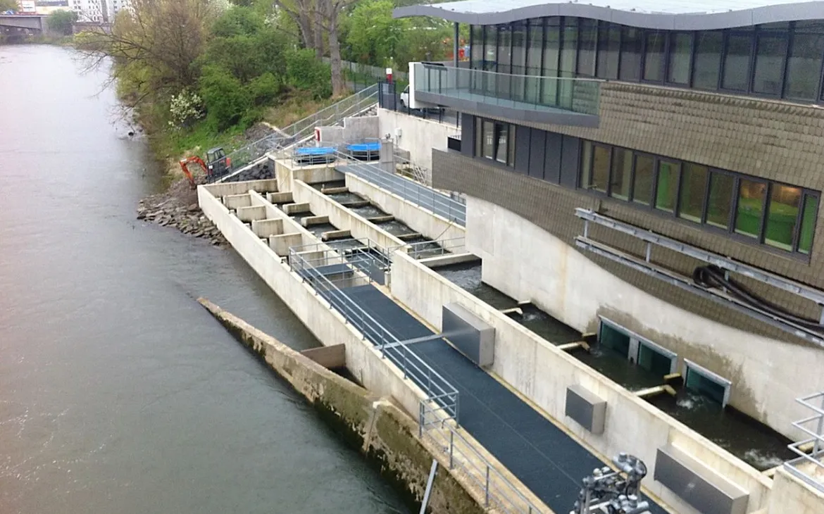 Positives Beispiel: Fischtreppe an der Mosel bei Koblenz