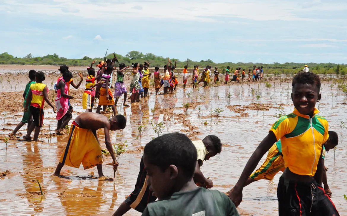 Jugendliche pflanzen Mangroven in Madagaskar