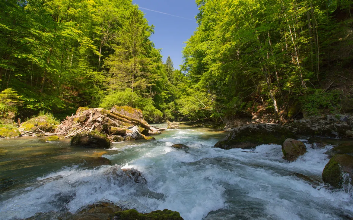 Schweizer Fluss Thur