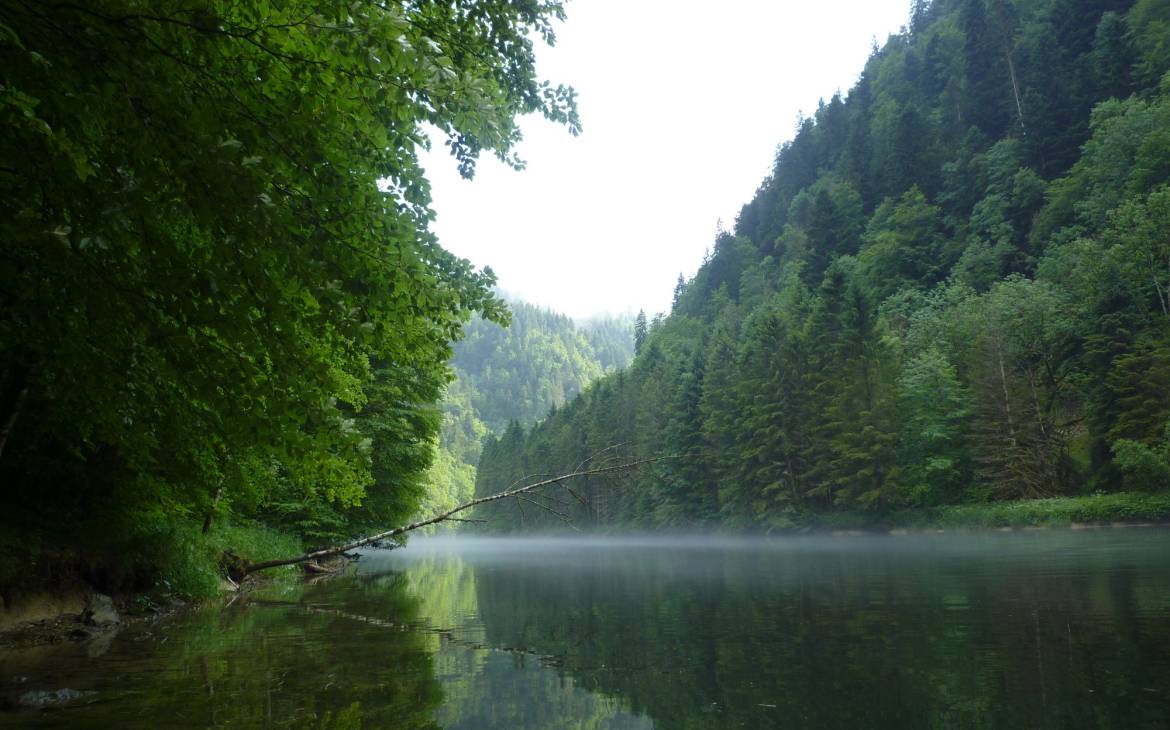 Brume au-dessus de la perle d'eau Doubs