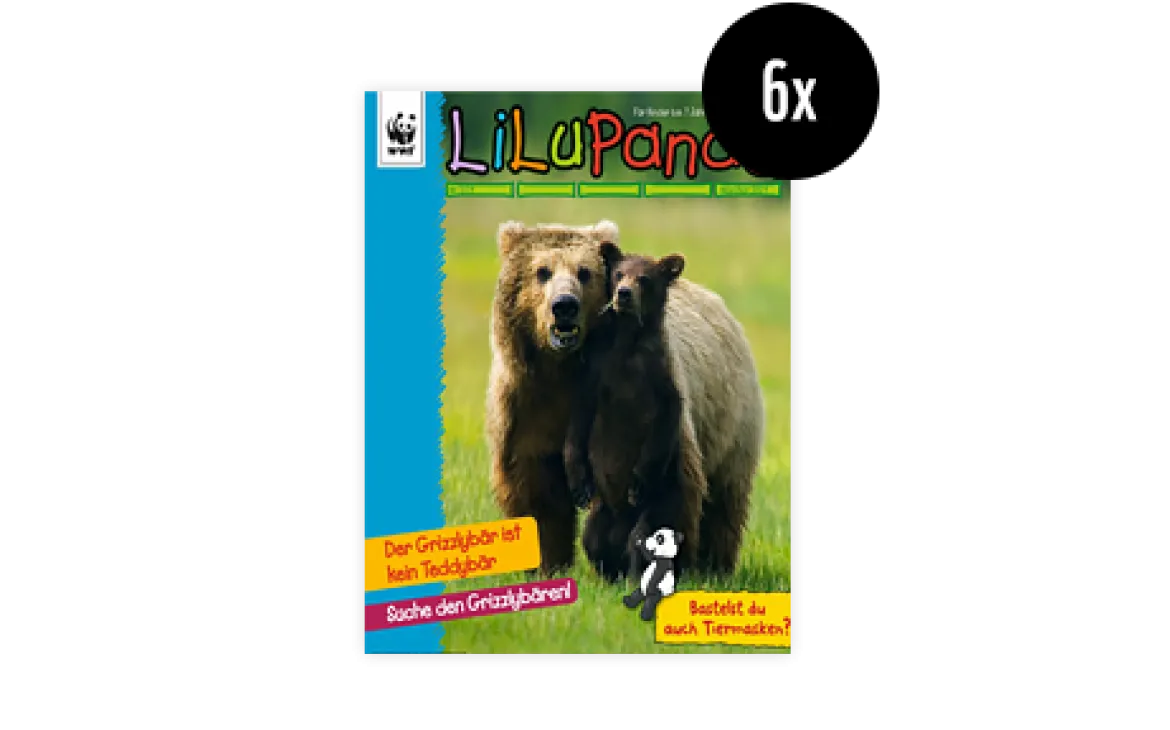 LiLu Panda Magazin
