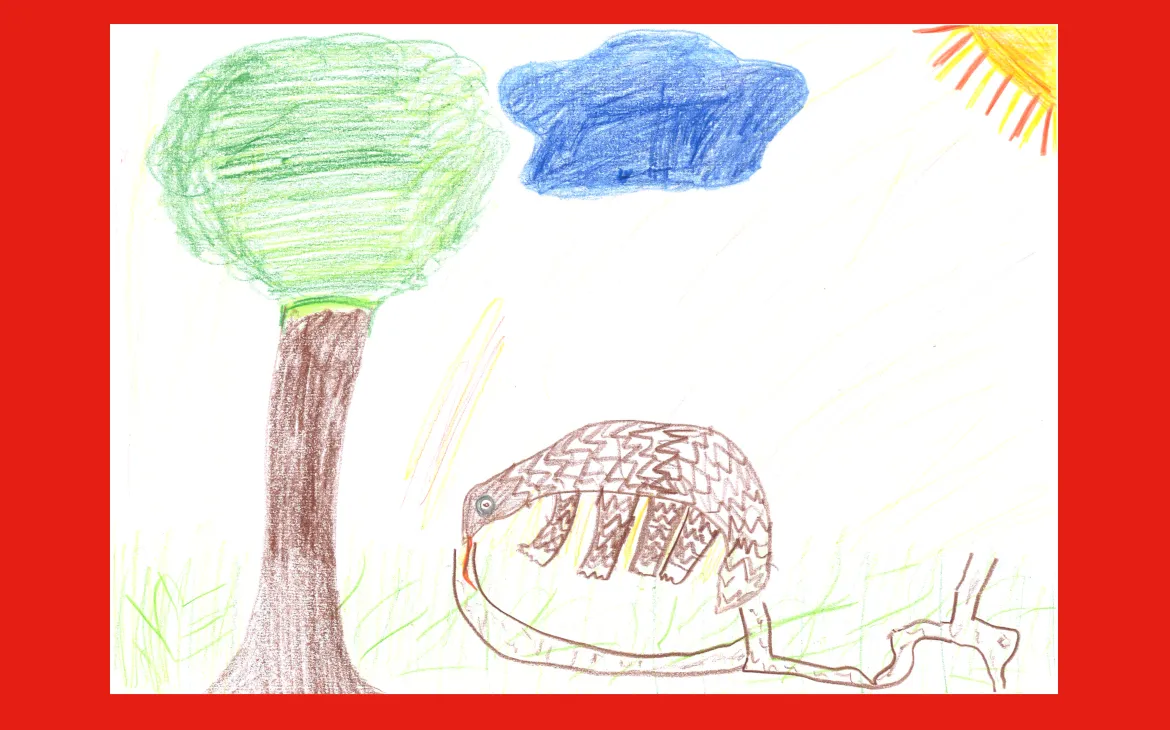 LiLu-Panda-Zeichnung Sara, 6 Jahre